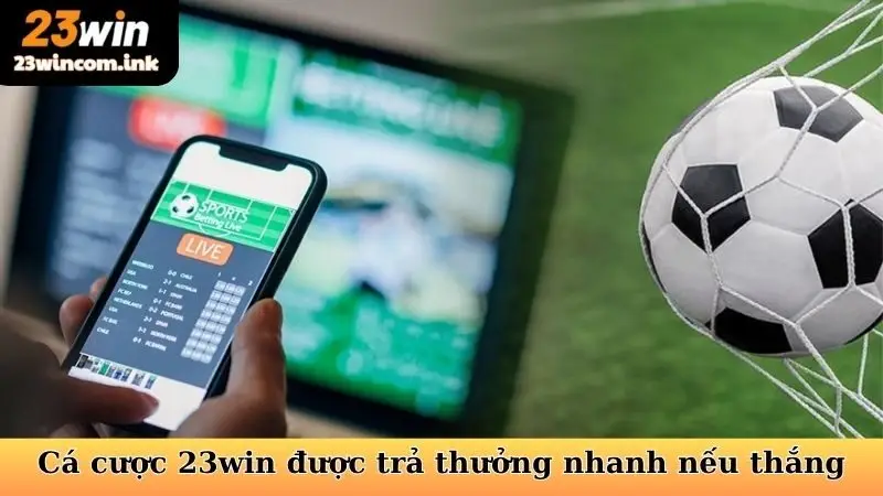 Chơi cá cược 23win được trả thưởng nhanh nếu thắng